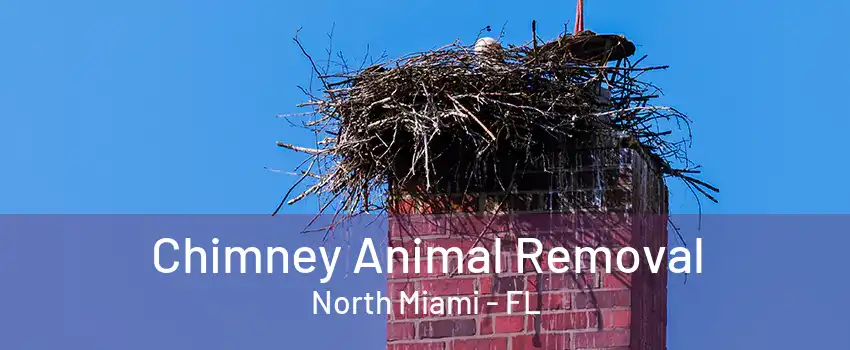 Chimney Animal Removal North Miami - FL