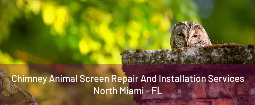 Chimney Animal Screen Repair And Installation Services North Miami - FL