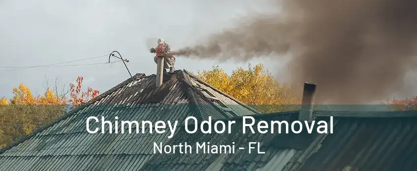 Chimney Odor Removal North Miami - FL