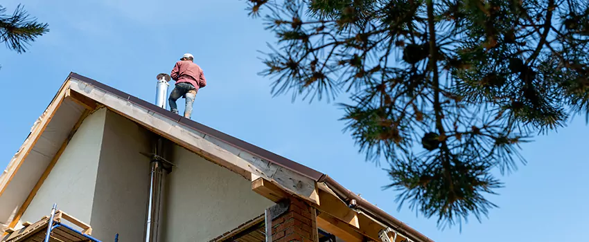 Birds Removal Contractors from Chimney in North Miami, FL